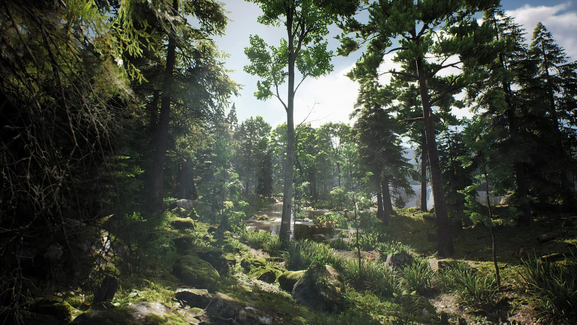 Project Hunt görsel 4
