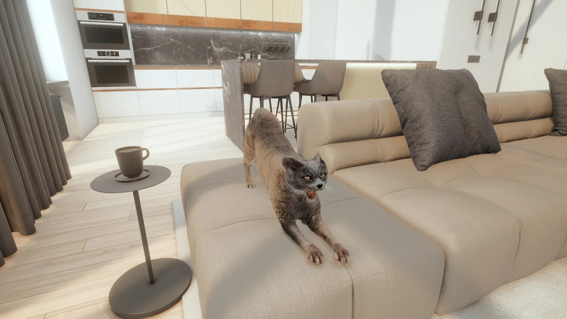 Kedi oyun simülatörü (Cats game) görsel 6