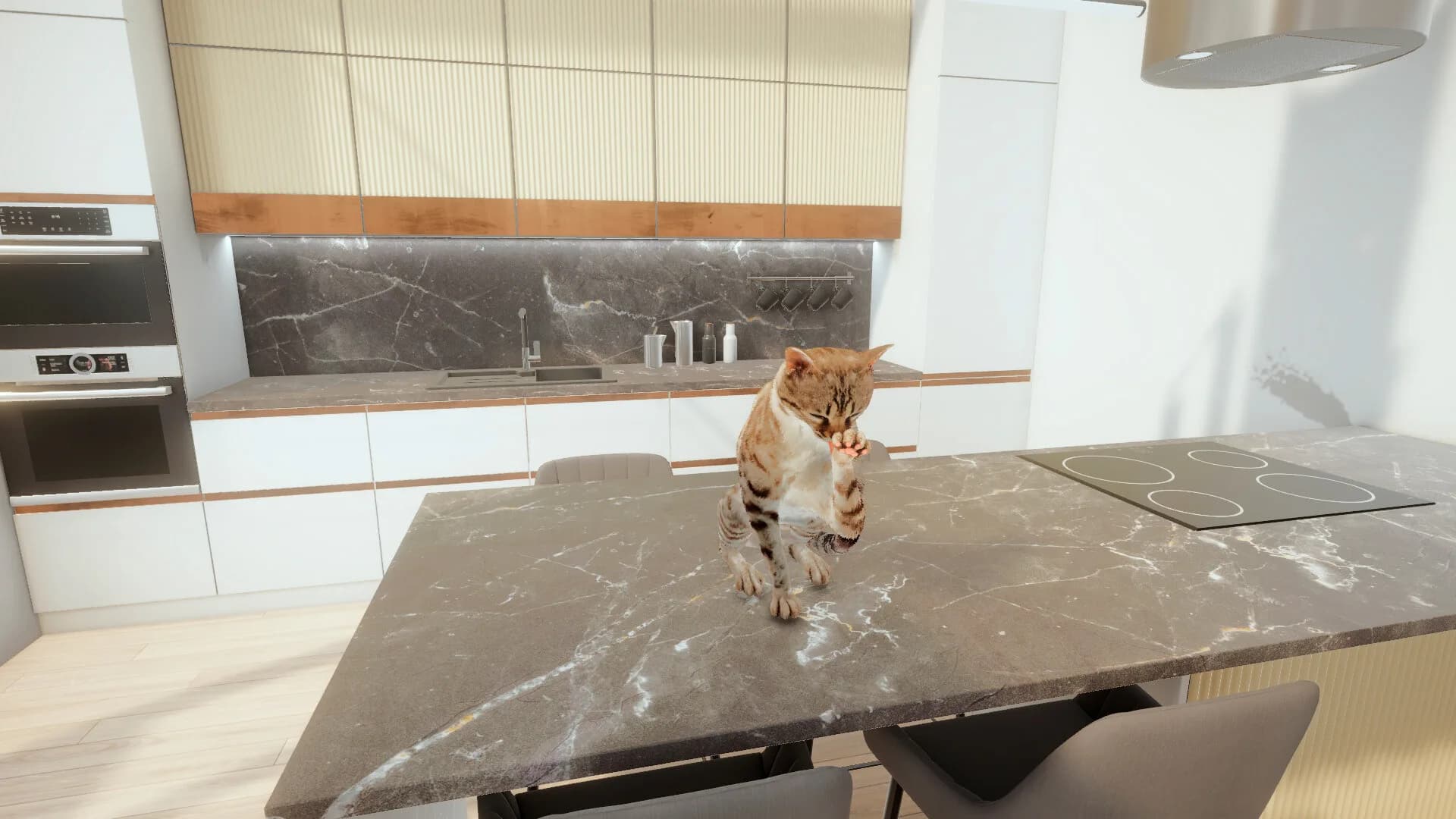 Kedi oyun simülatörü (Cats game) görsel 7