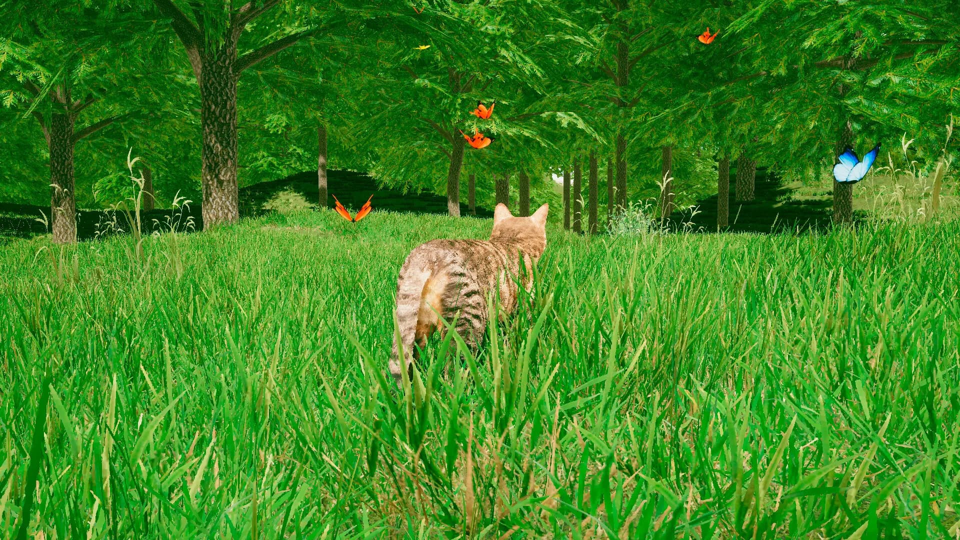 Kedi oyun simülatörü (Cats game) görsel 8