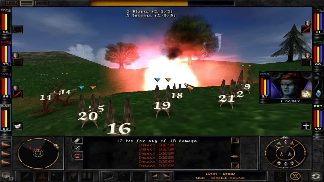 Wizardry 8 görsel 5