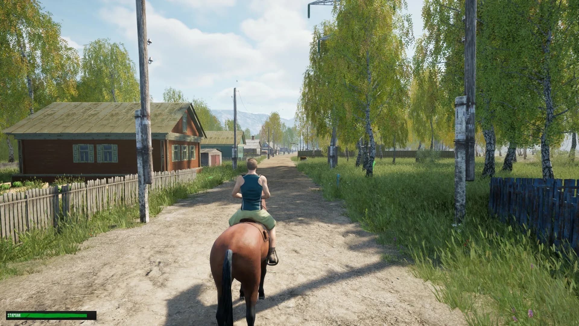 Russian Village Simulator görsel 16