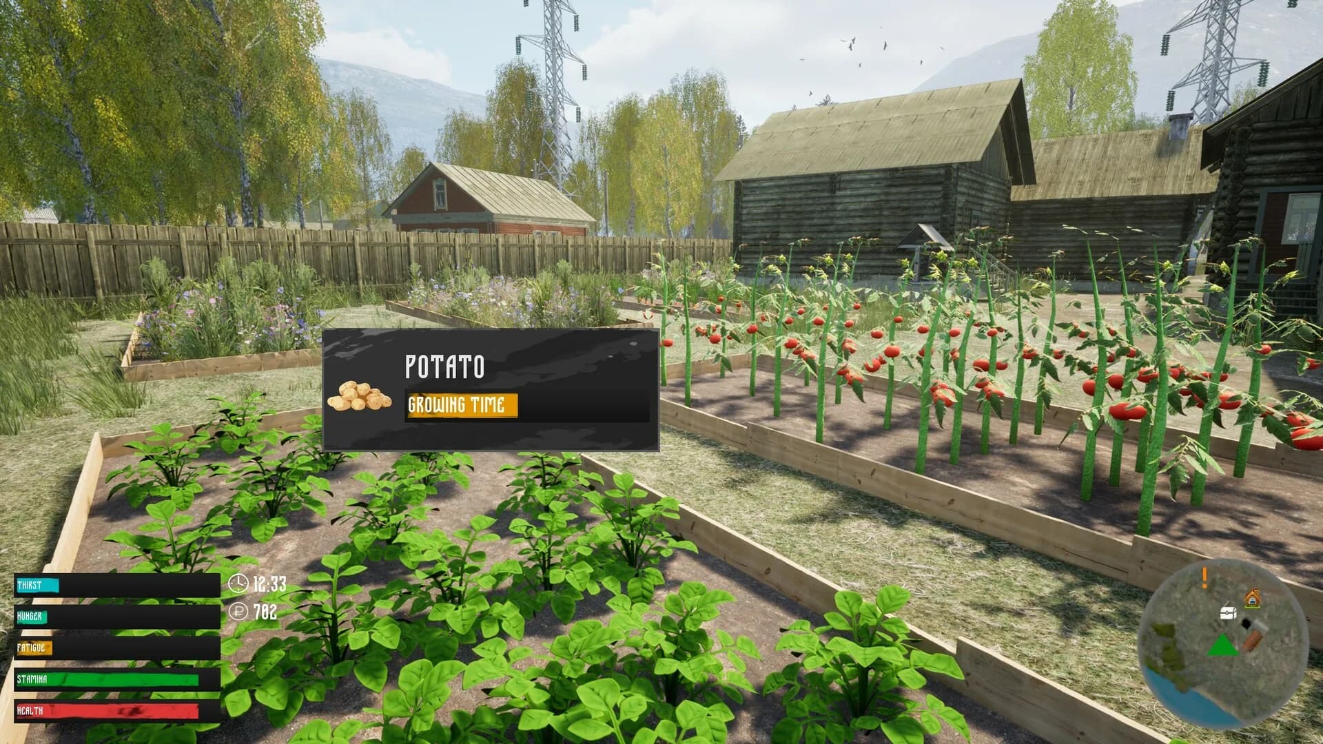 Russian Village Simulator görsel 8