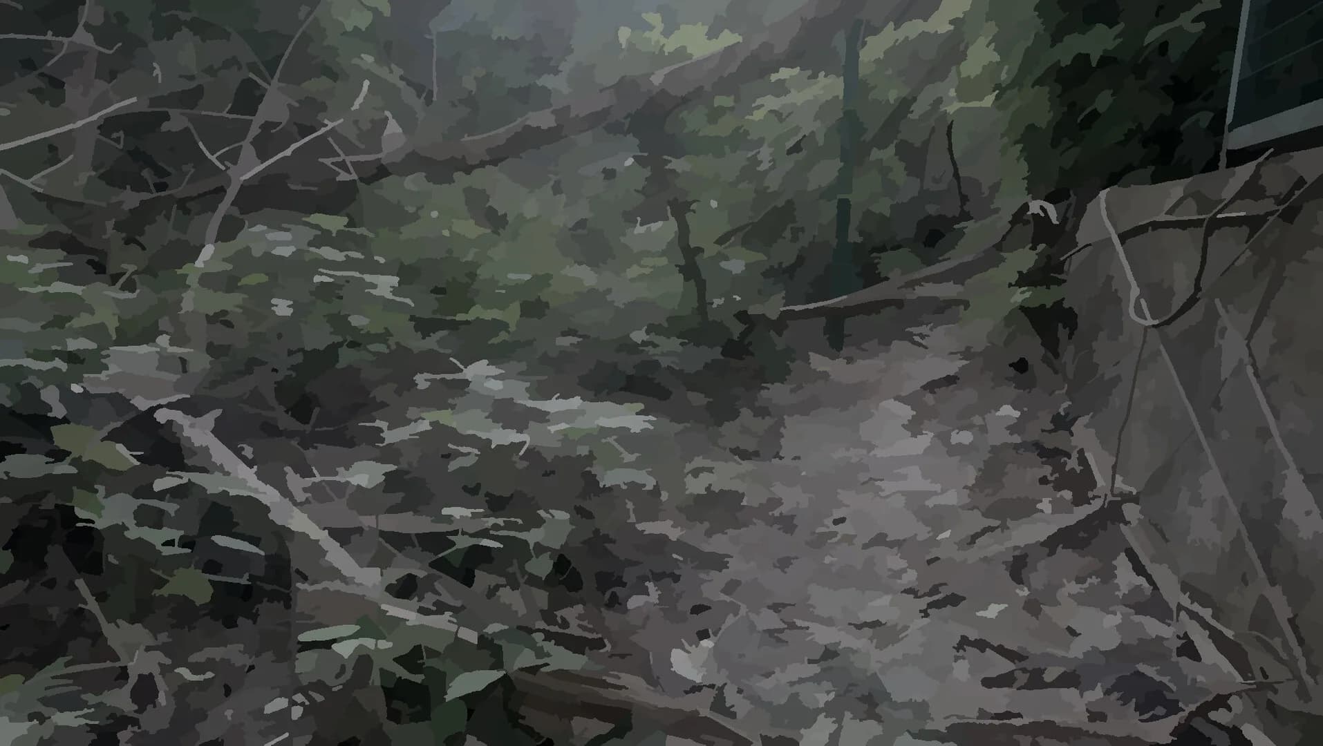 戲假成真 görsel 5