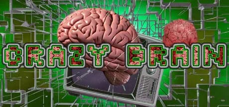 Crazy Brain görsel 1
