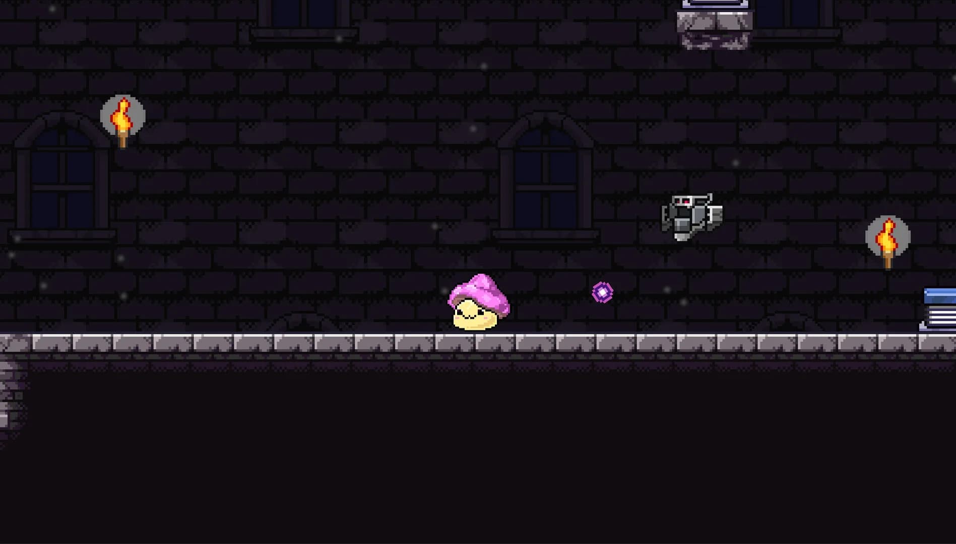 MamaShroom görsel 5