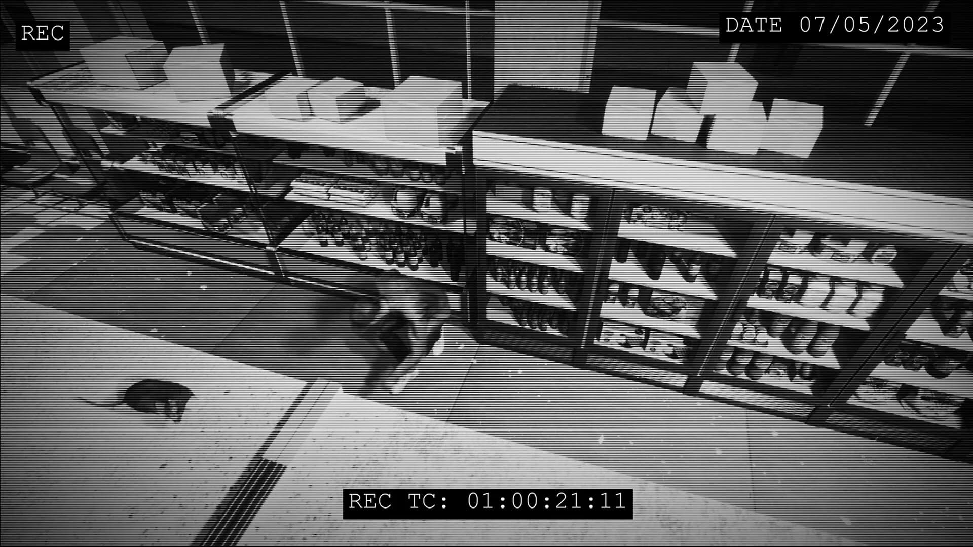 Superstore Simulator görsel 5
