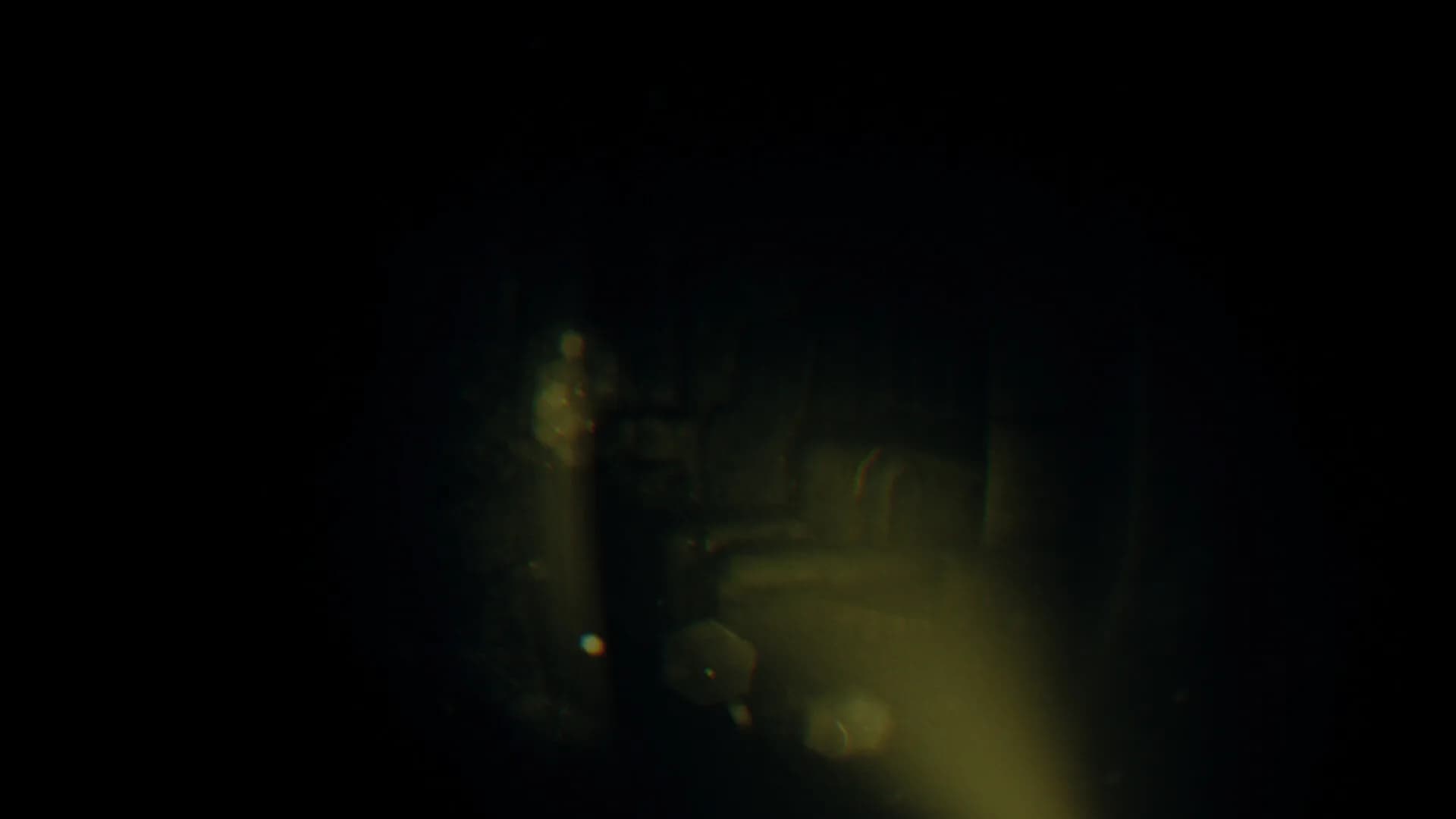 REC: Beyond The Lens görsel 4