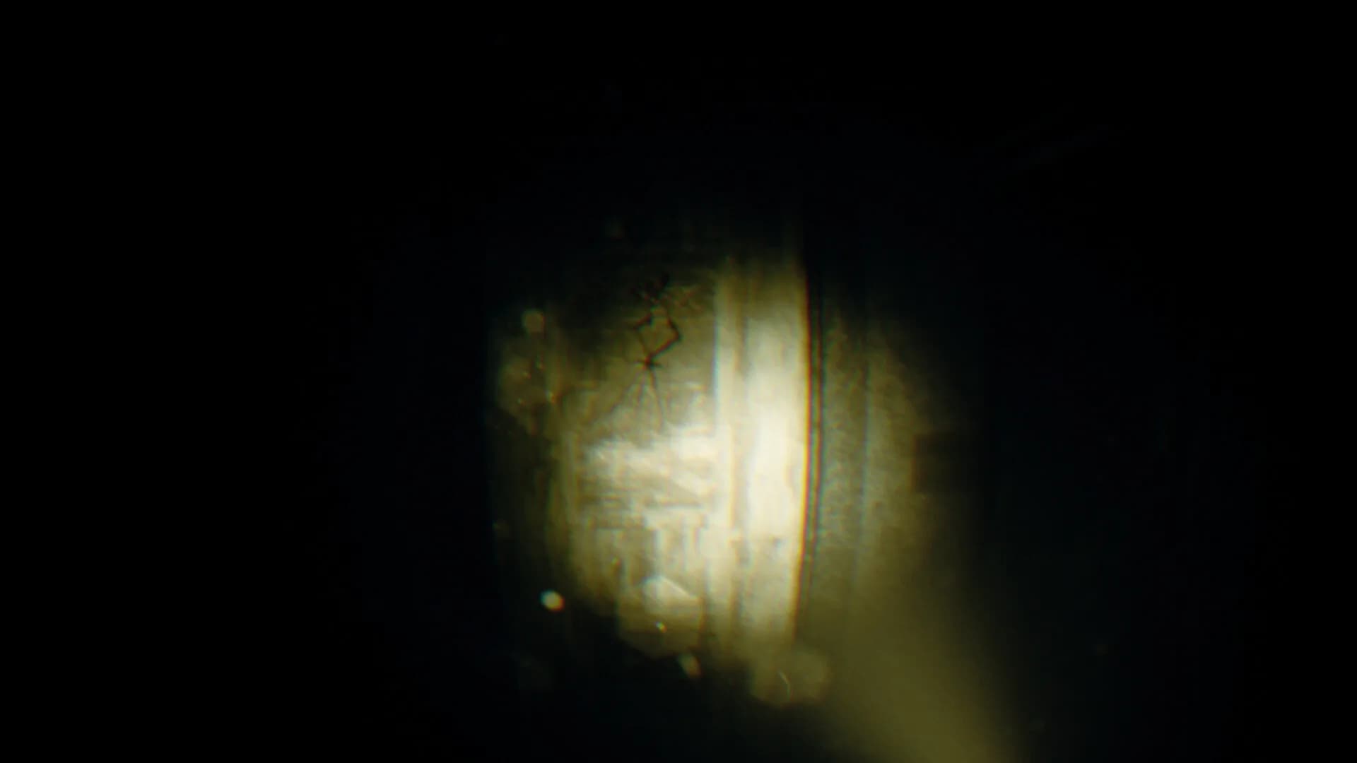REC: Beyond The Lens görsel 6
