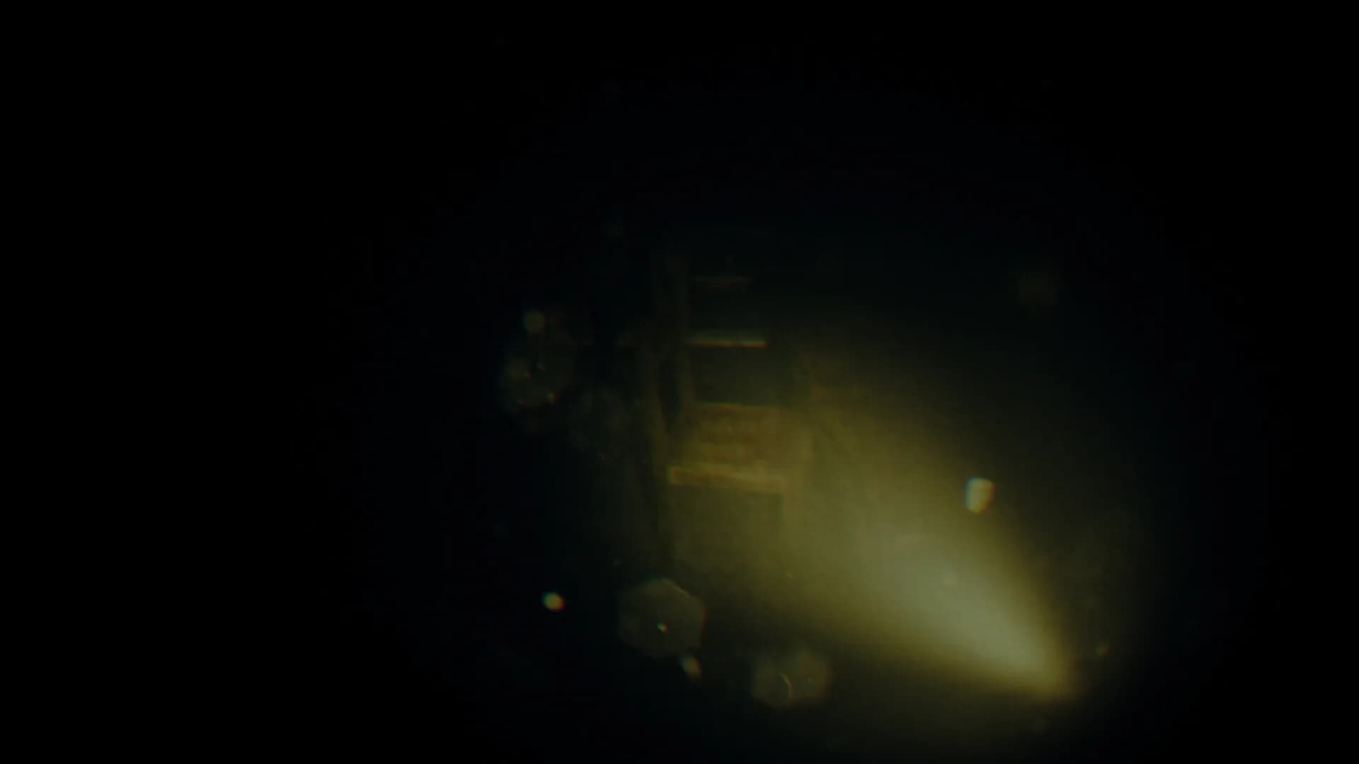 REC: Beyond The Lens görsel 9