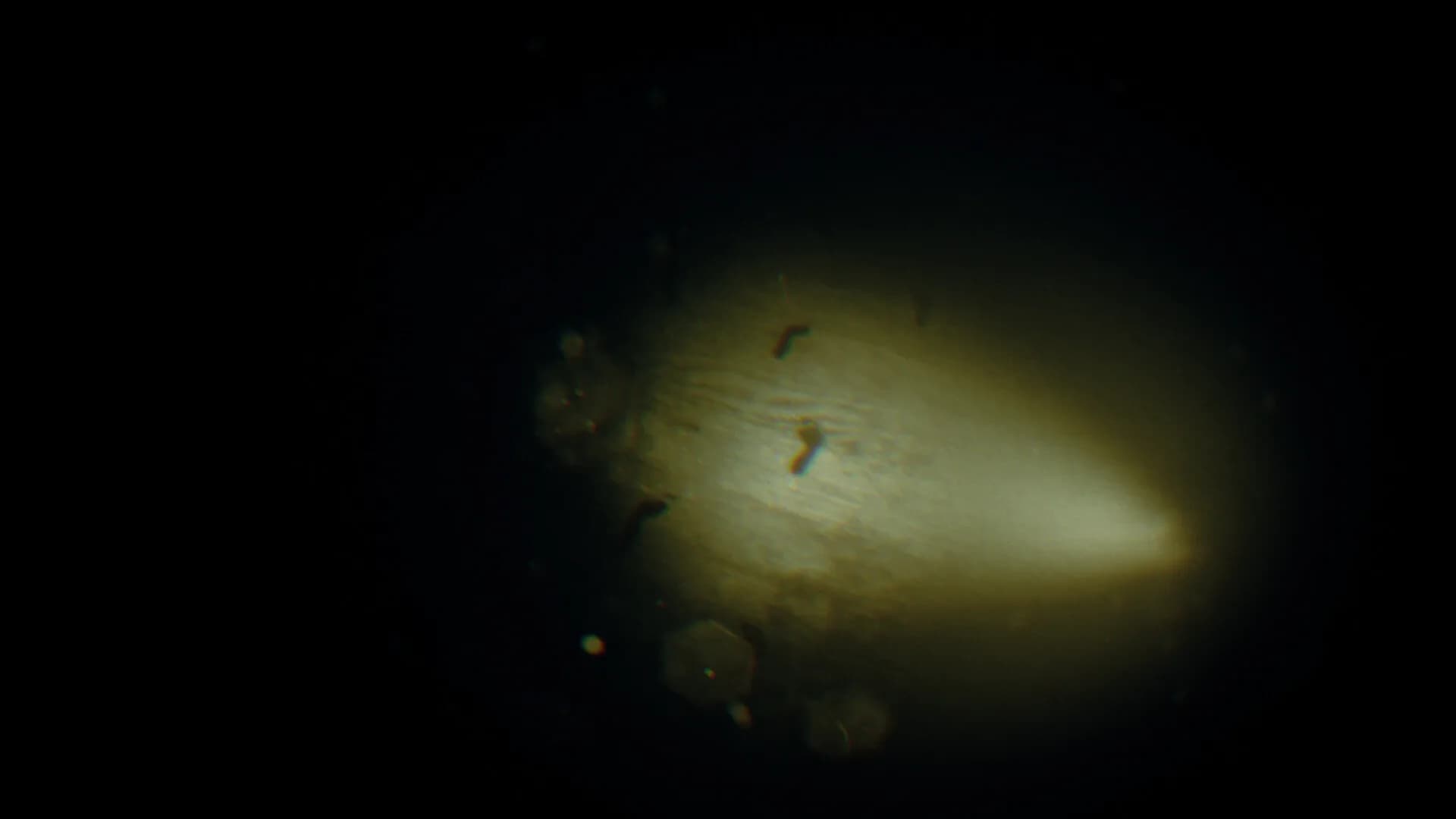 REC: Beyond The Lens görsel 11