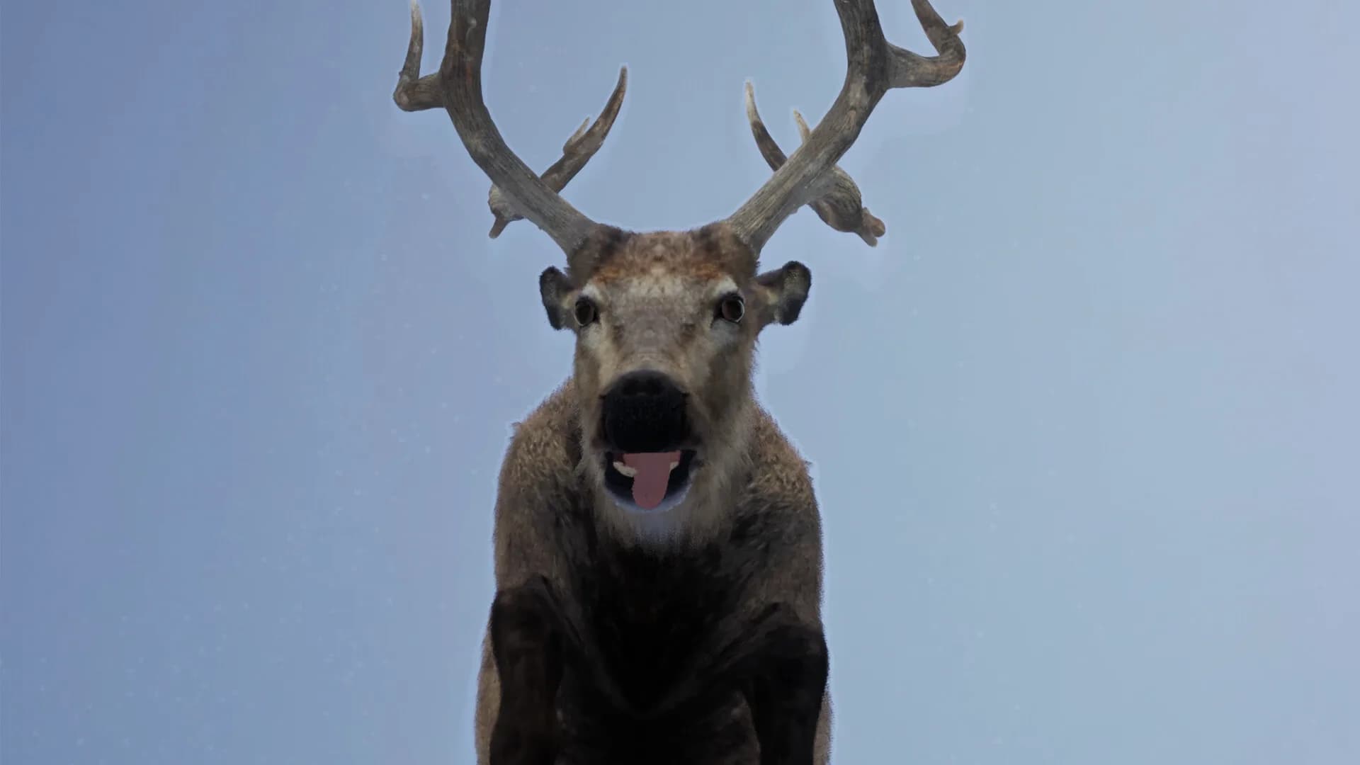 Hoofobia görsel 5