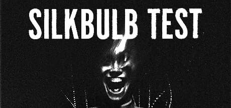 silkbulb test görsel 1