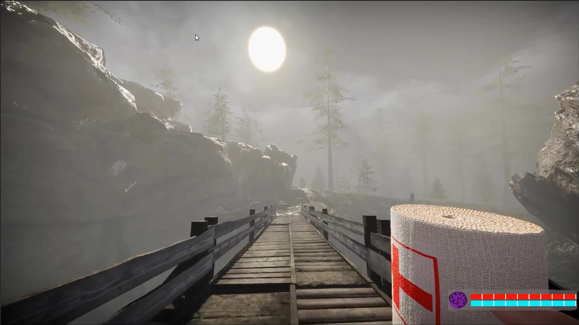 Dire Island görsel 5