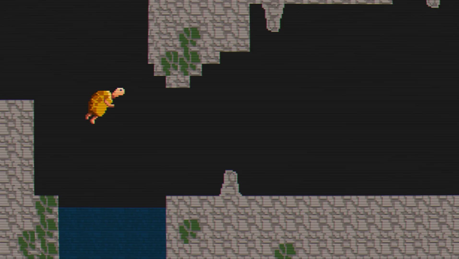 TurtleQuest görsel 5