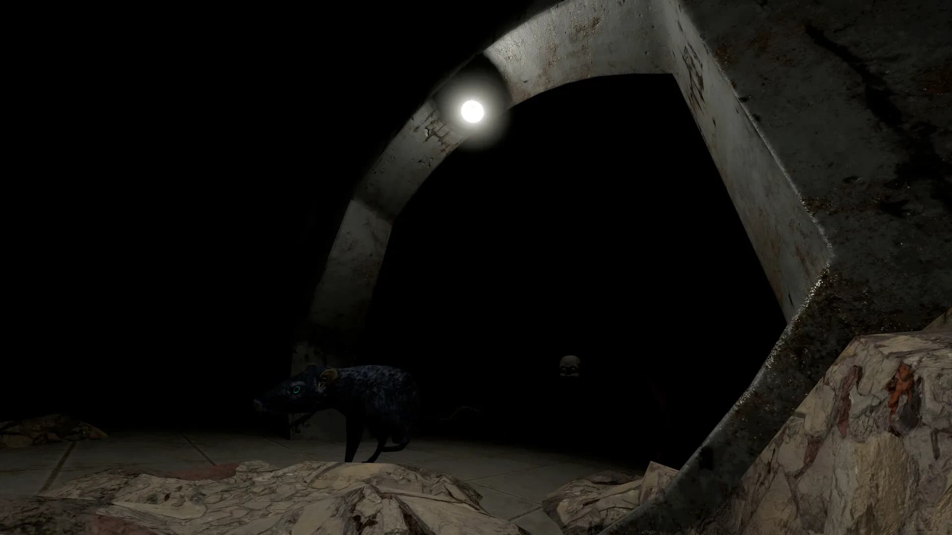 Scamper görsel 4