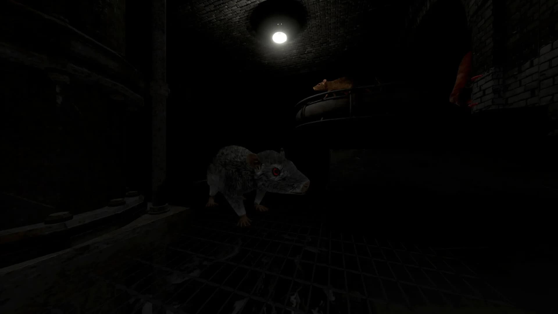 Scamper görsel 5