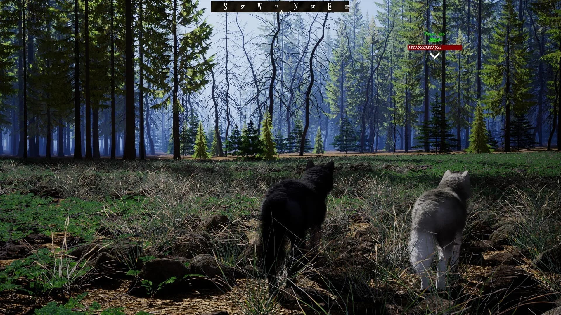 Untamed Kingdom görsel 6