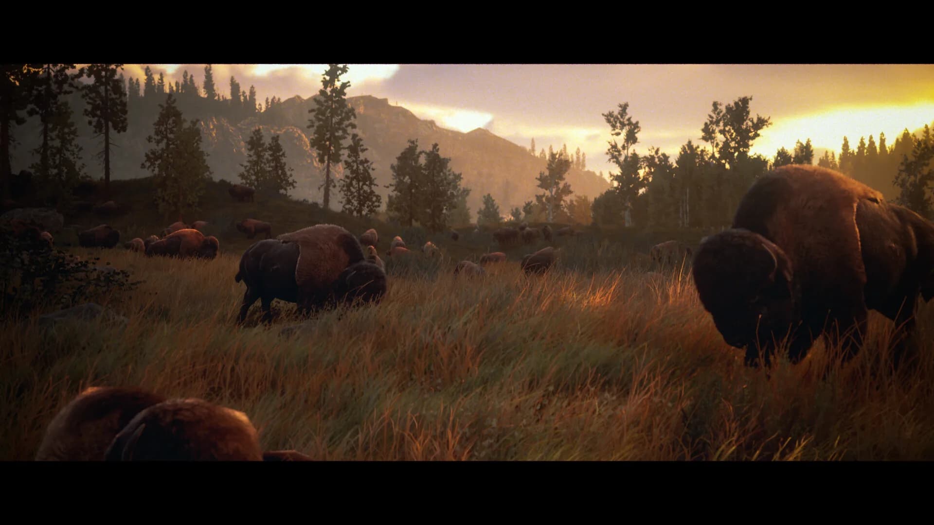 Hunting Simulator 3 görsel 2