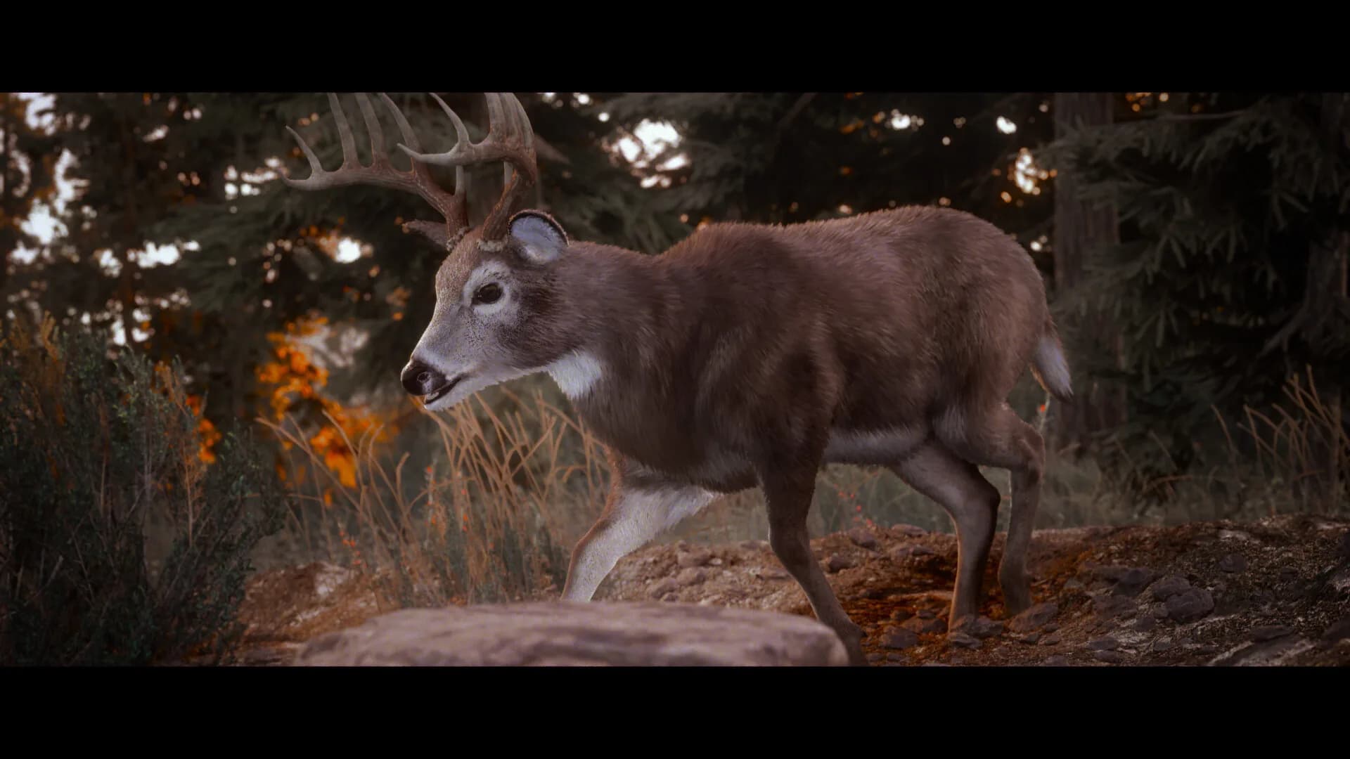 Hunting Simulator 3 görsel 3