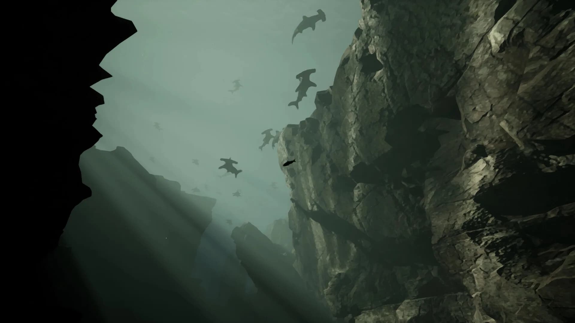 Whale Fall görsel 3