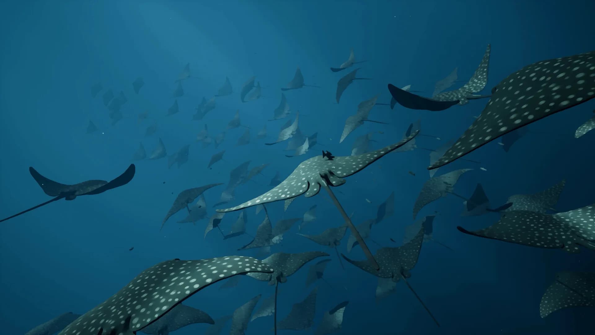 Whale Fall görsel 4