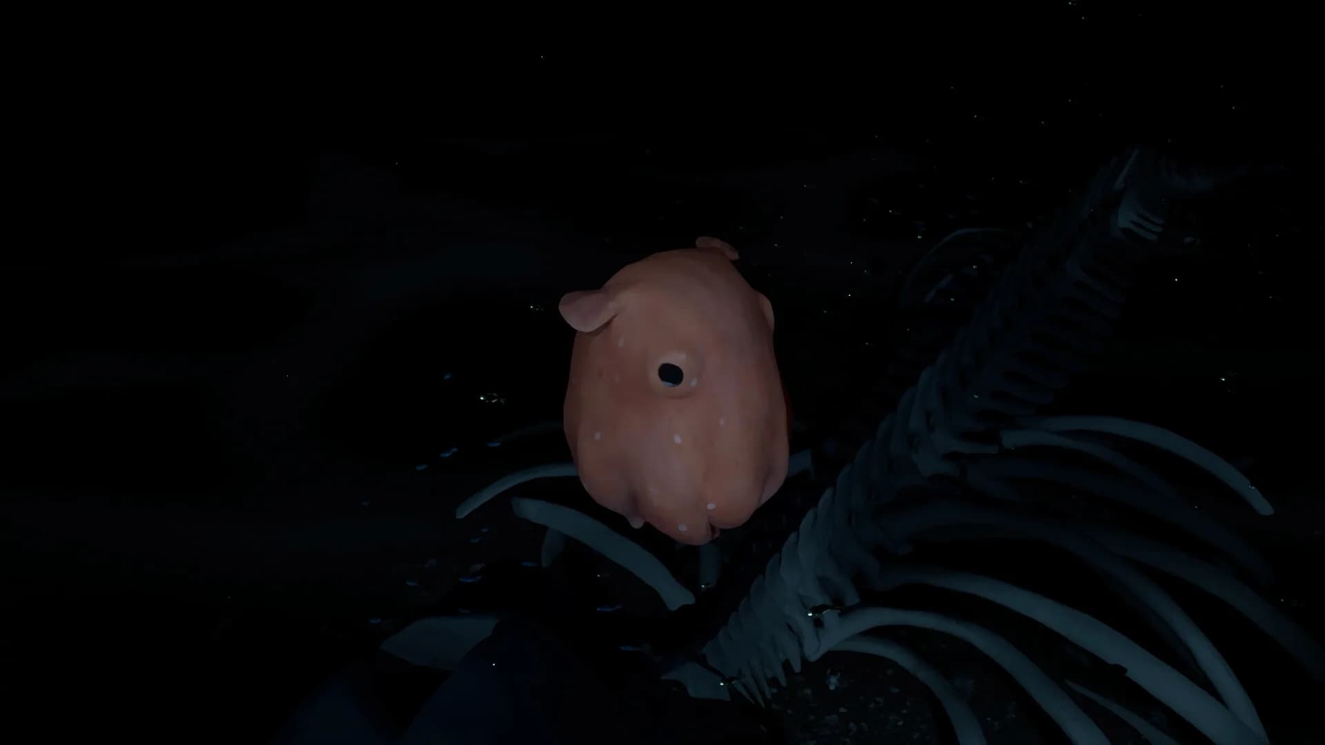 Whale Fall görsel 5