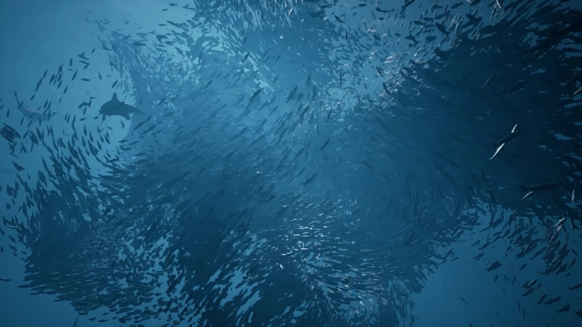 Whale Fall görsel 7