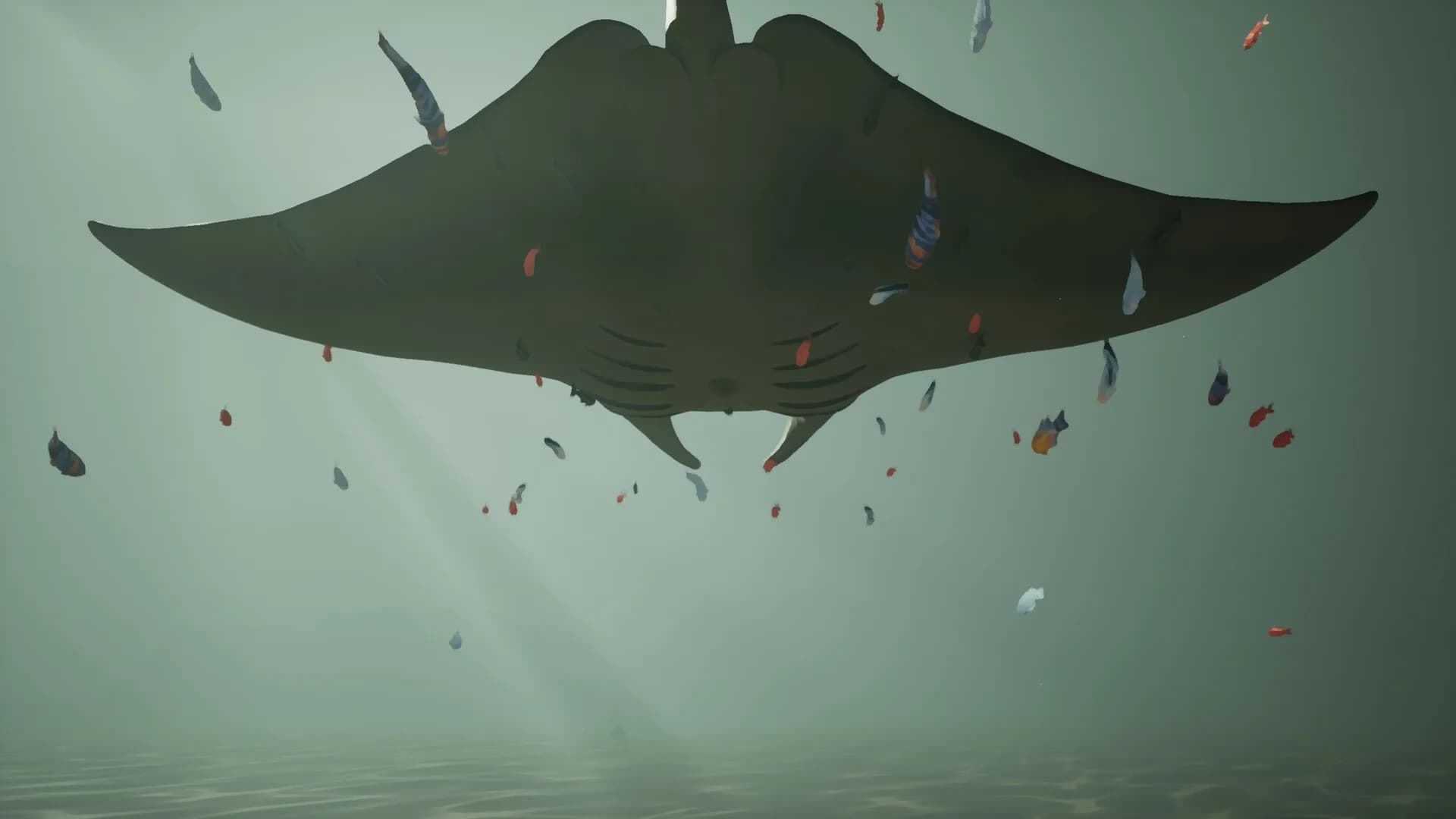 Whale Fall görsel 8