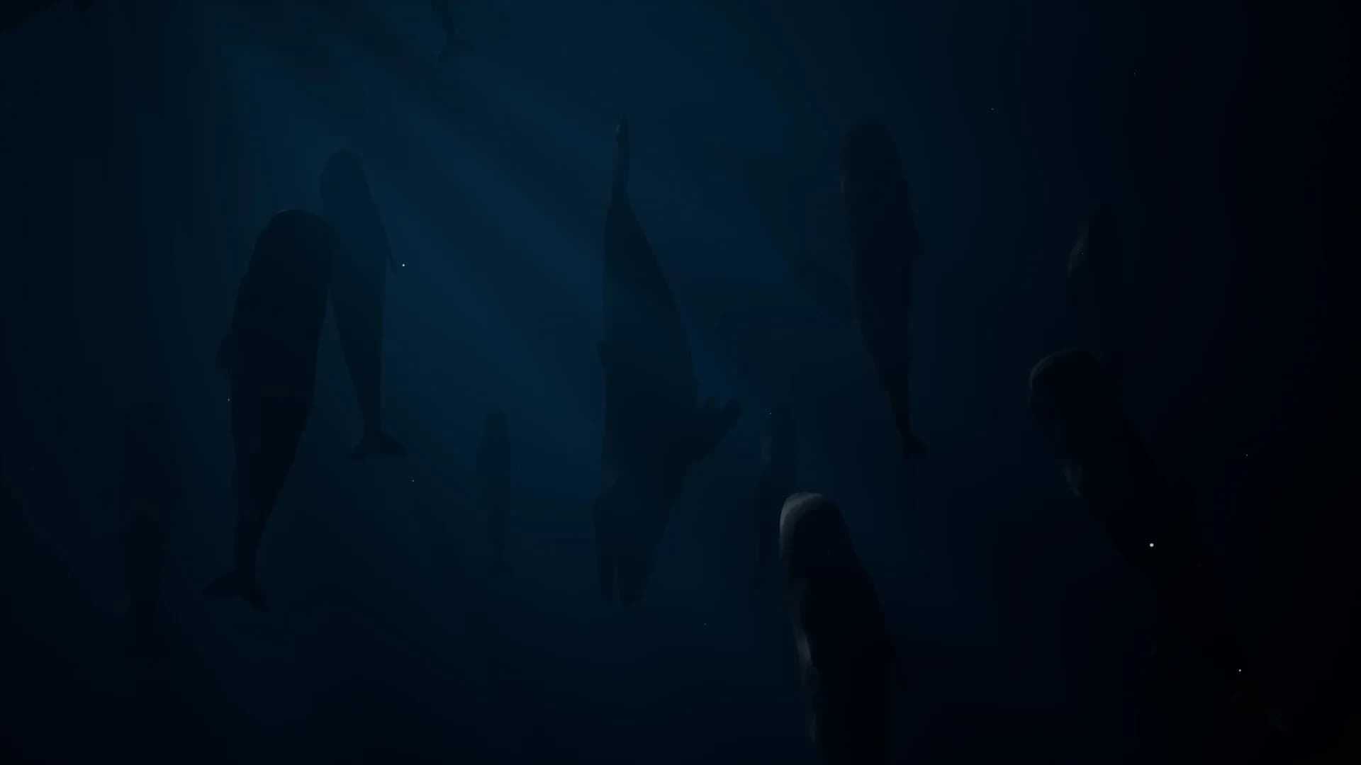 Whale Fall görsel 9