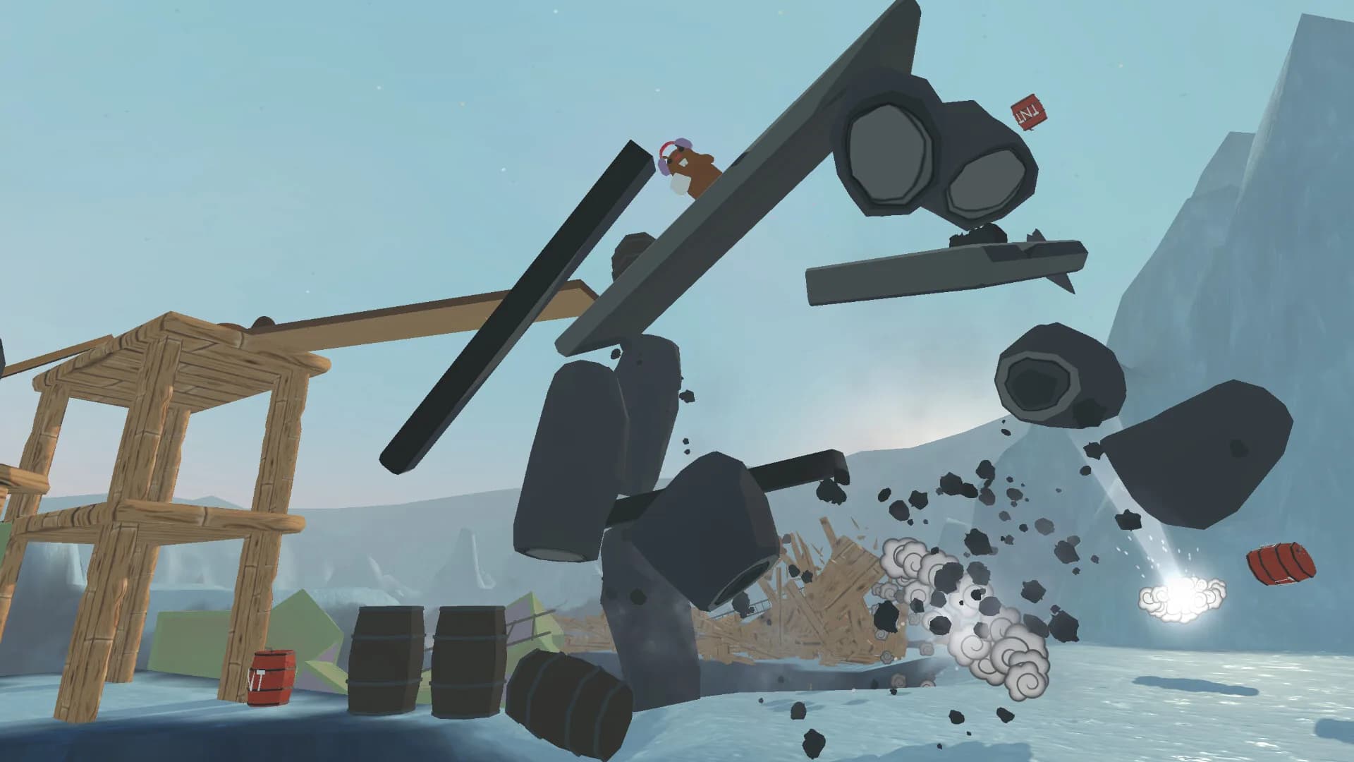 Cannon Fotter görsel 5