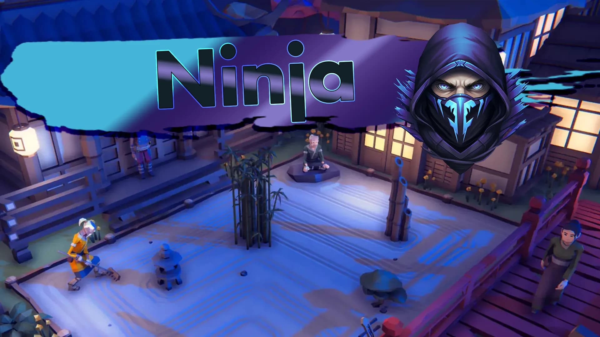 Ninja görsel 3
