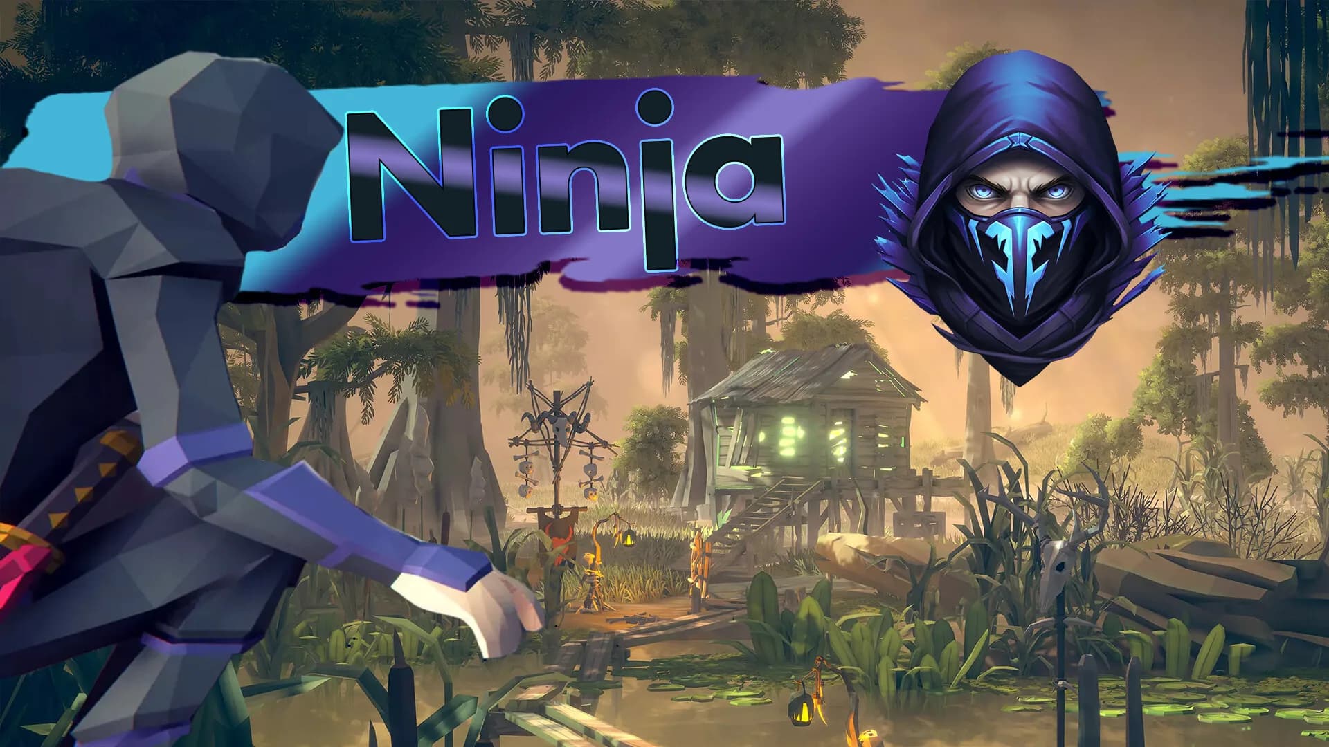 Ninja görsel 20