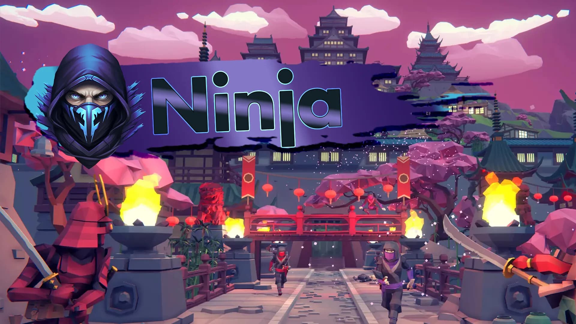 Ninja görsel 4