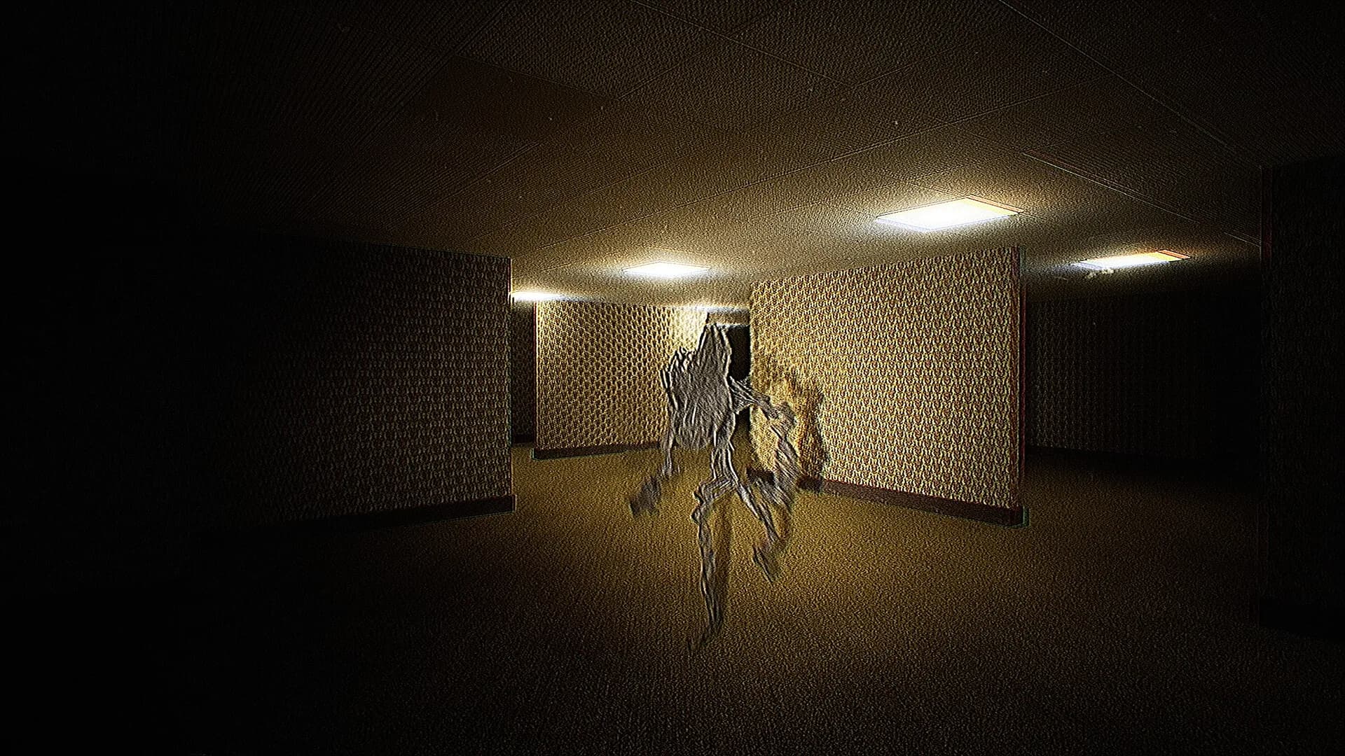 Deja Vu : The Backrooms görsel 7