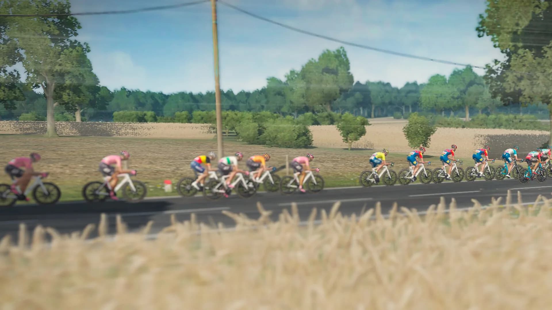 Tour de France 2024 görsel 6