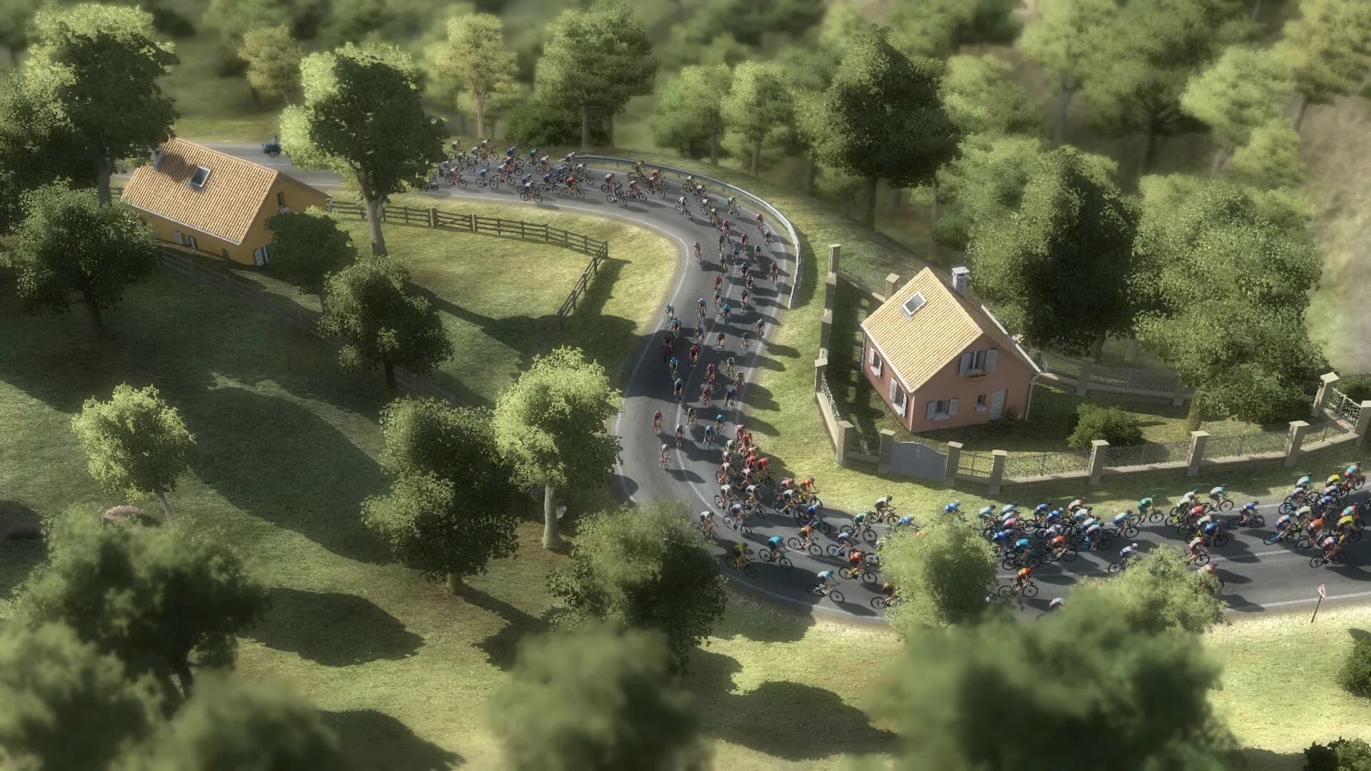 Pro Cycling Manager 2024 görsel 5
