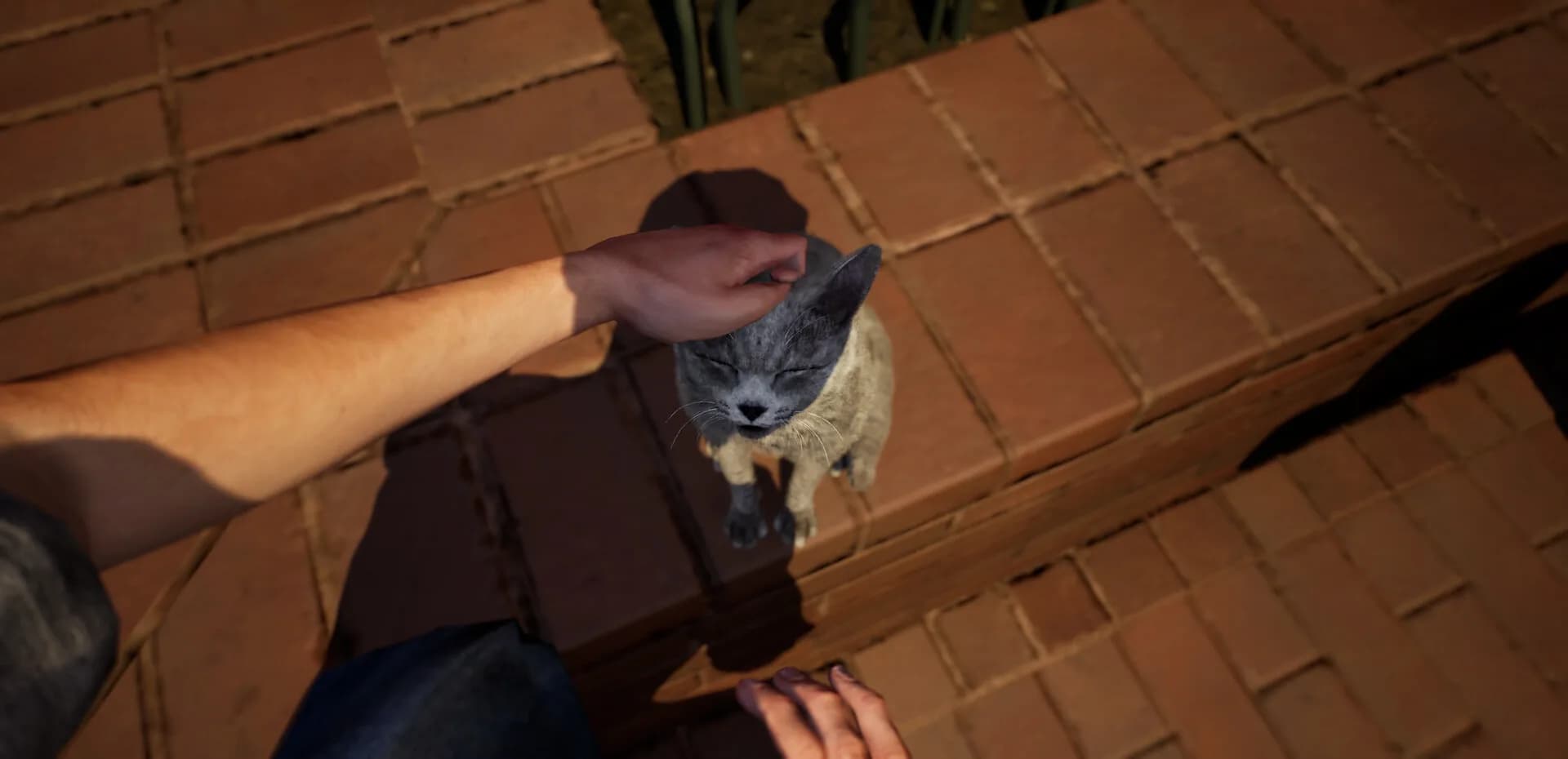 Run Away görsel 2
