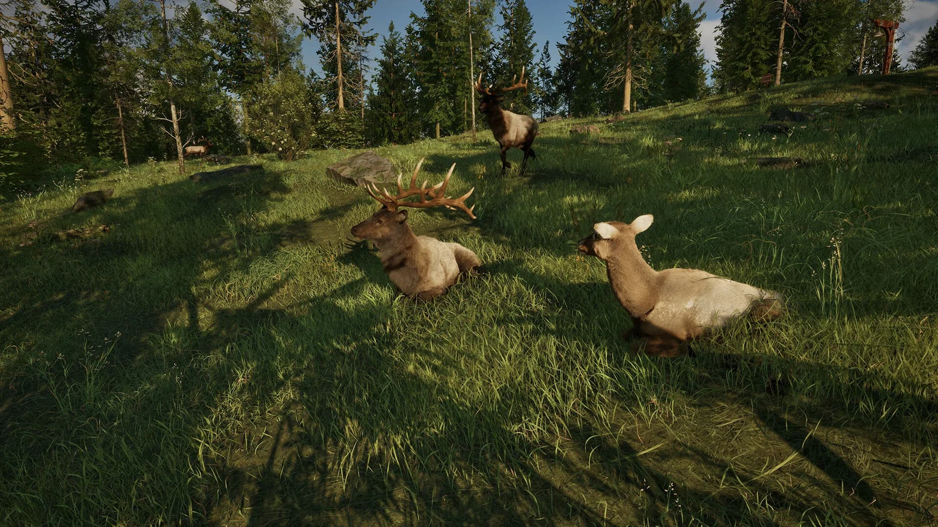 Ranger’s Path: National Park Simulator görsel 7
