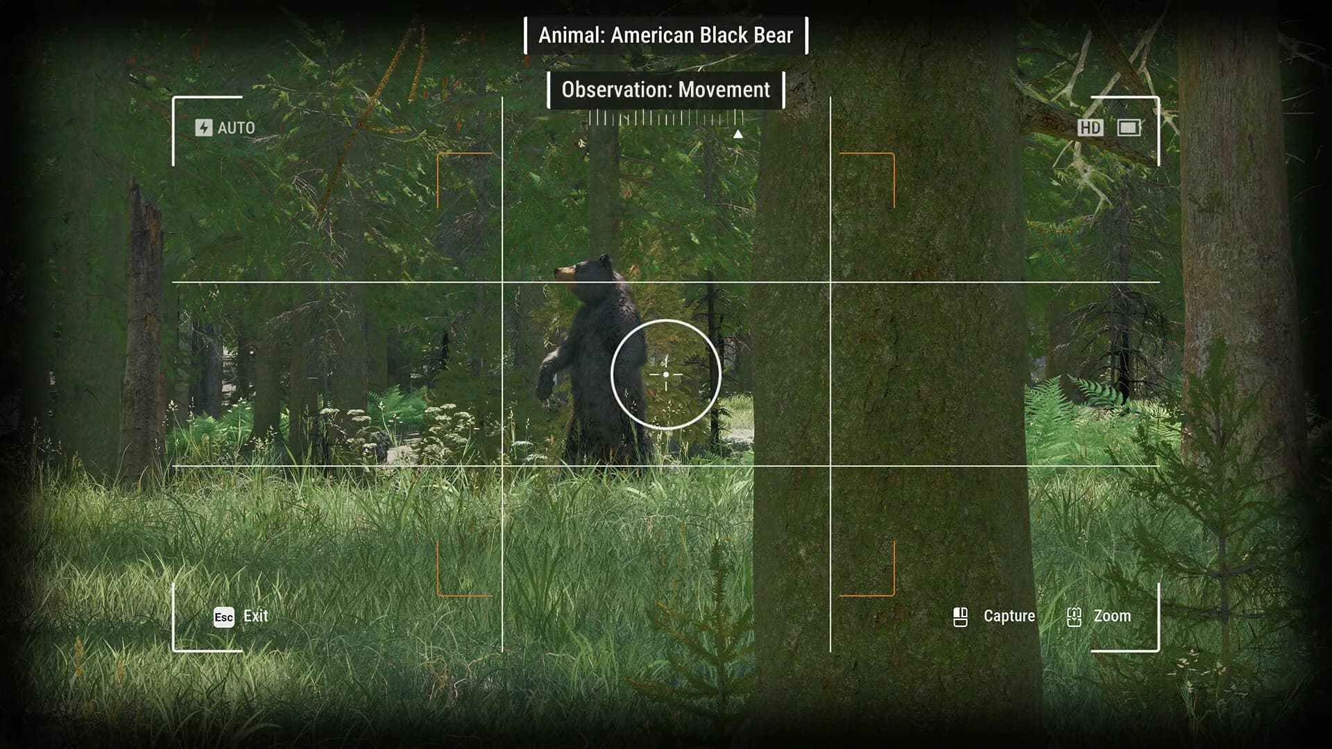 Ranger’s Path: National Park Simulator görsel 10