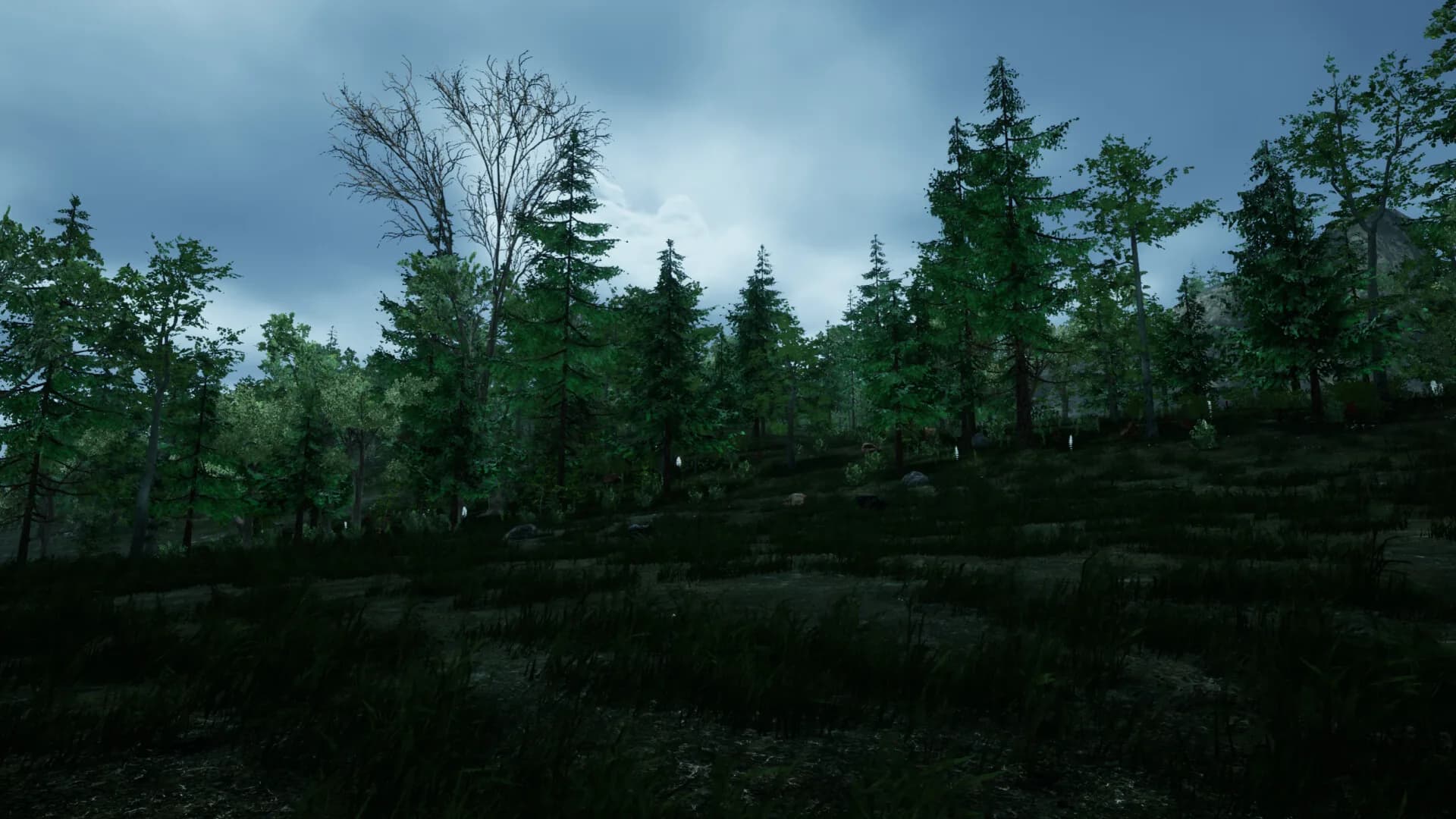 the ISLE survival görsel 2