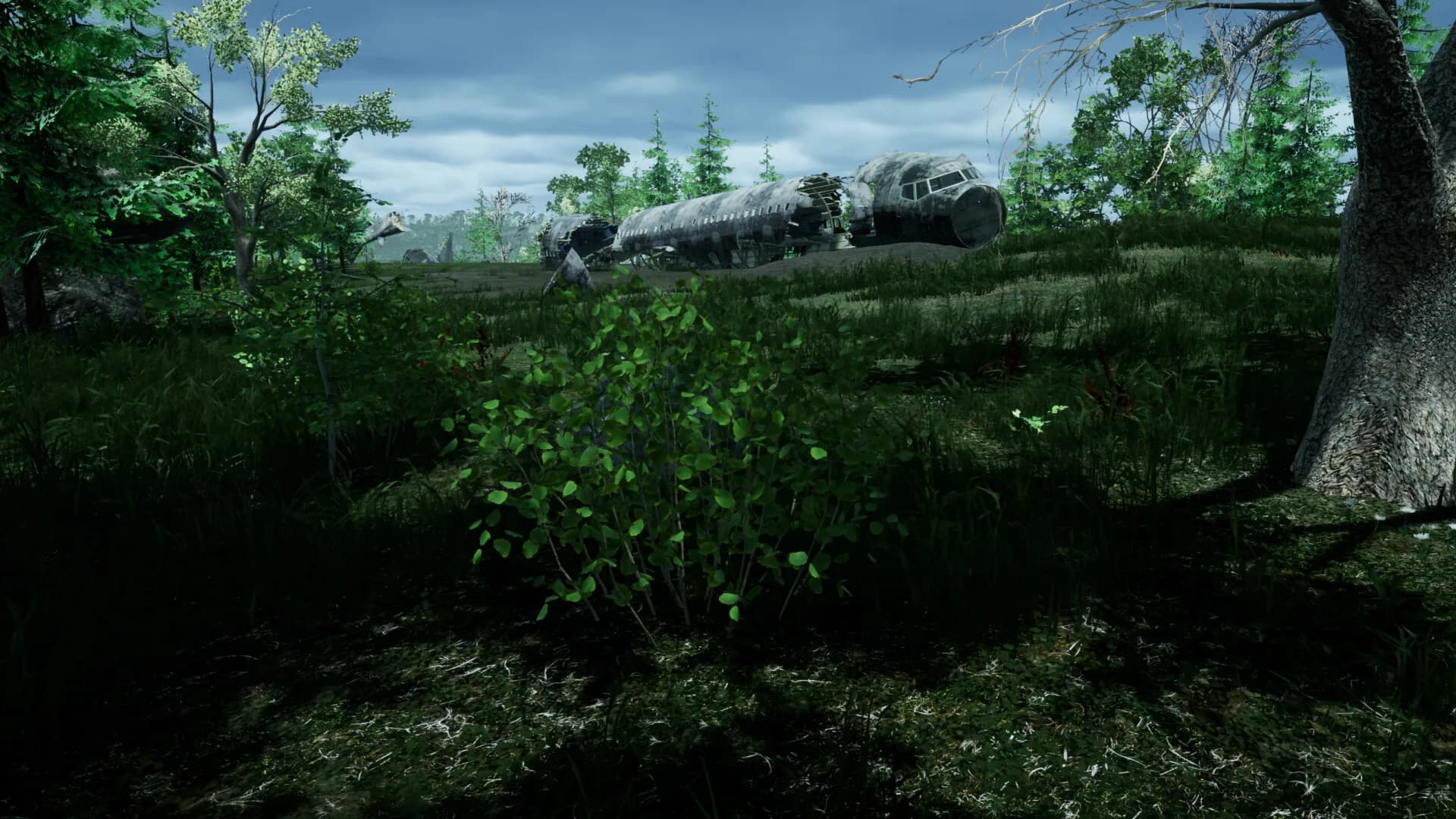 the ISLE survival görsel 4