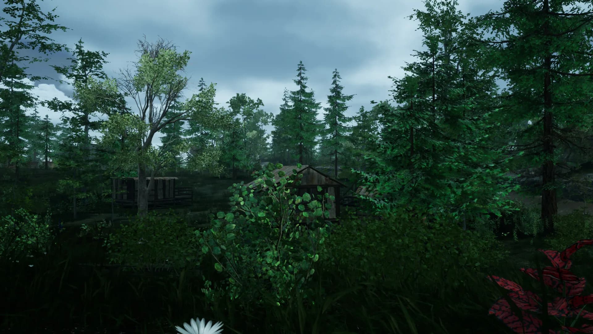 the ISLE survival görsel 6