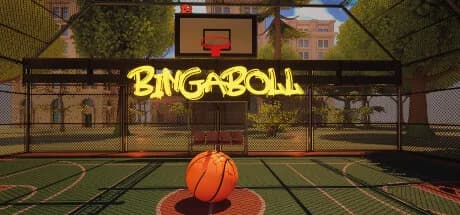 Bingaboll görsel 1