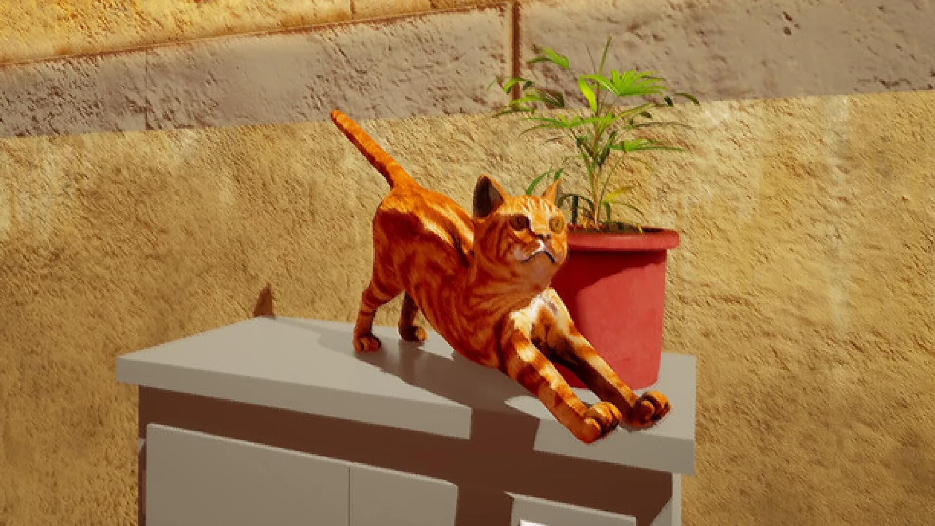 Catniptic görsel 2