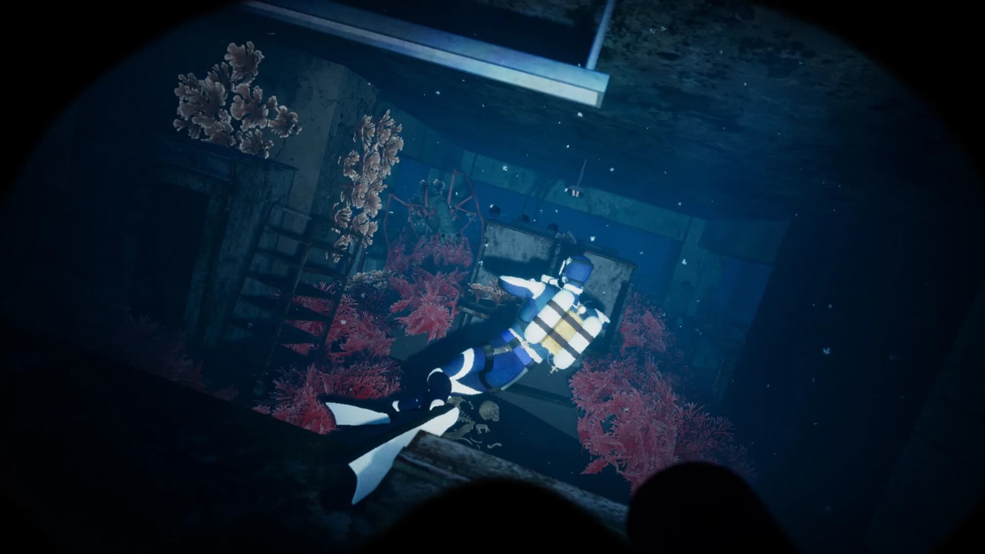 Thalassophobia görsel 5