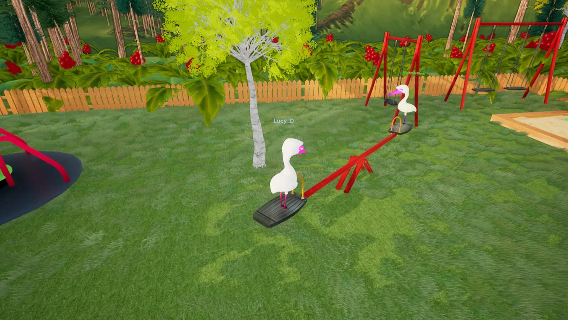 BIRD BALL görsel 6