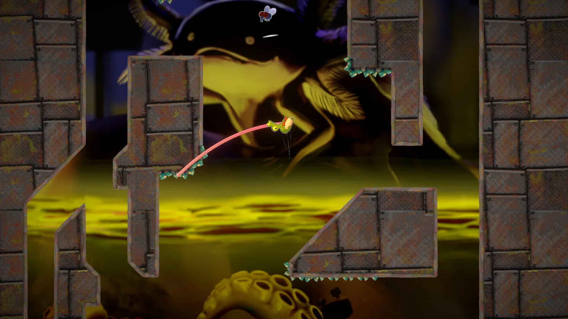 tilt frog görsel 2