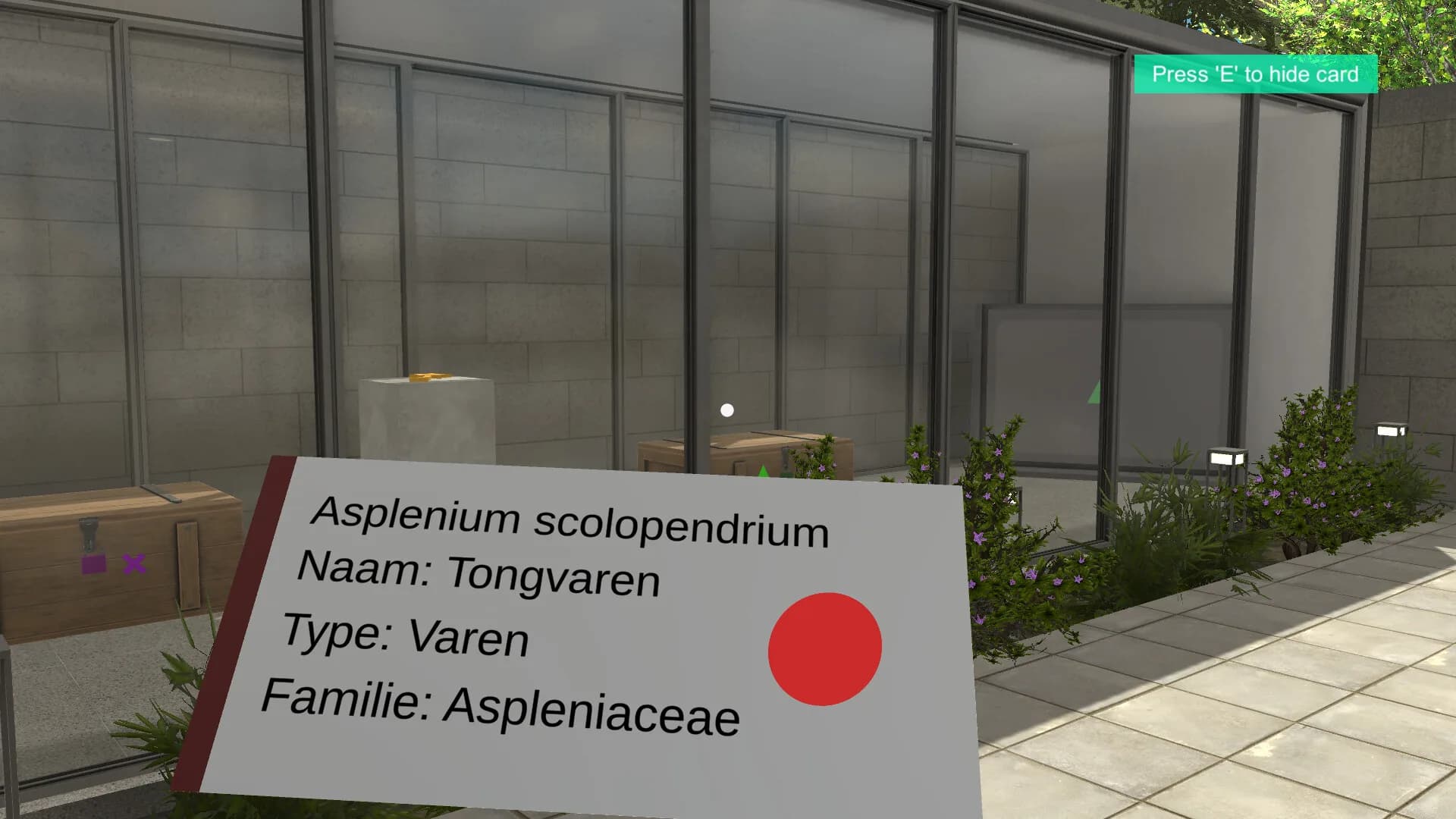 Plant Gallery: A Short Botanic Experience görsel 15
