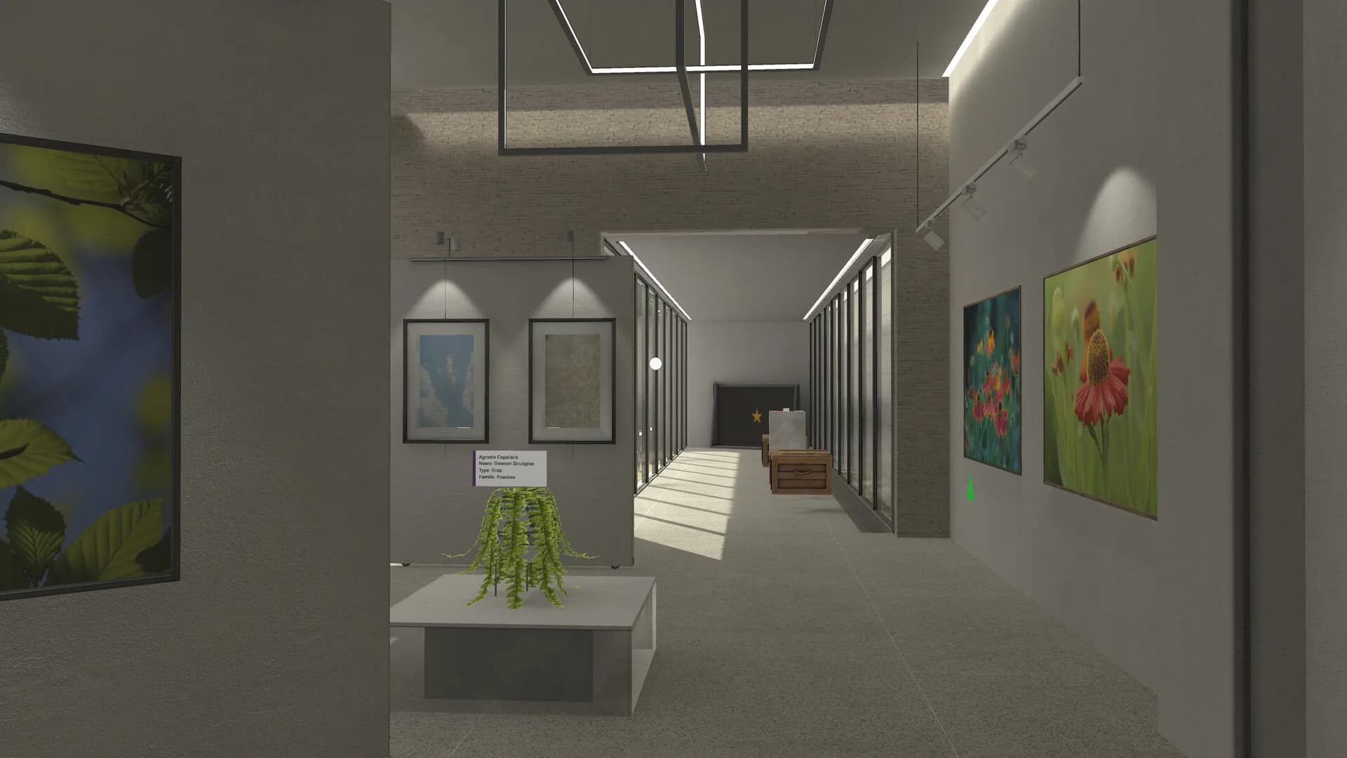 Plant Gallery: A Short Botanic Experience görsel 7